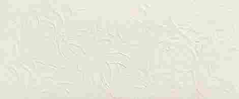 Плитка 3D Wall Plaster Bloom White 50x120