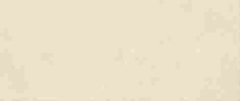Плитка Boost Expression Grain Shell Matte 50x120 фото 2