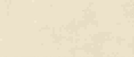 Плитка Boost Expression Grain Shell Matte 50x120 фото 3