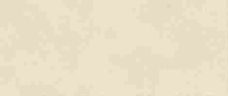 Плитка Boost Expression Grain Shell Matte 50x120 фото 4