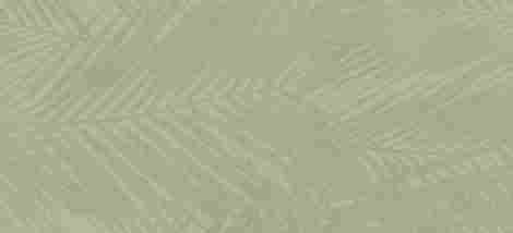 Плитка Boost Expression Life Olive Matte 50x120 фото 2