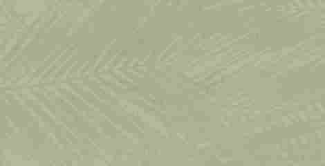Плитка Boost Expression Life Olive Matte 50x120 фото 3