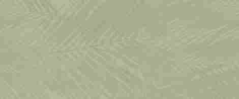 Плитка Boost Expression Life Olive Matte 50x120