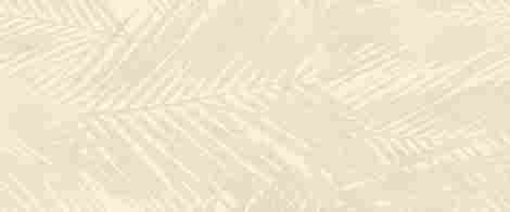 Плитка Boost Expression Life Shell Matte 50x120