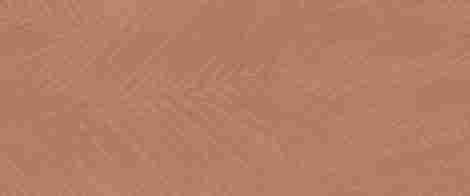 Плитка Boost Expression Life Sienna Matte 50x120 фото 2