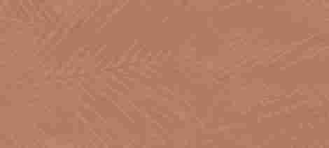 Плитка Boost Expression Life Sienna Matte 50x120 фото 3