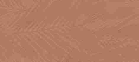 Плитка Boost Expression Life Sienna Matte 50x120
