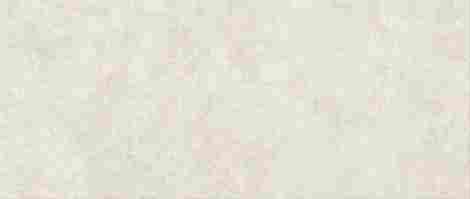 Плитка Boost Icor Bone Field Matte 50x120 фото 3