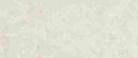 Плитка Boost Icor Bone Field Matte 50x120 фото 4