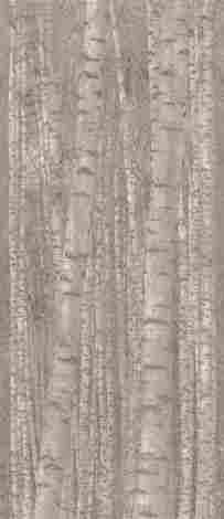 Декор Boost Pro Grove 120x278 фото 3