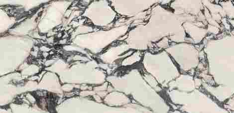 Керамогранит Marvel Epic Calacatta Viola lappato 60x120 фото 4