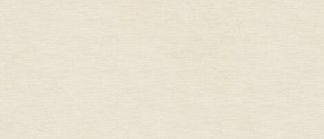 Керамогранит Marvel Next Vanilla White Wheat 120x278 фото 2