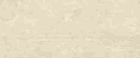 Плитка Marvel T Navona White Field 50x120 фото 3