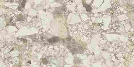 Керамогранит Forte dei Marmi Ceppo Apuano Cream Lappato 80x160 фото 3