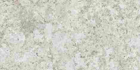 Керамогранит Forte dei Marmi Quark Brazilian White matte rett 60x120 фото 2