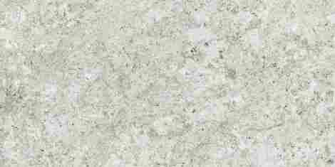 Керамогранит Forte dei Marmi Quark Brazilian White matte rett 80x160 фото 2