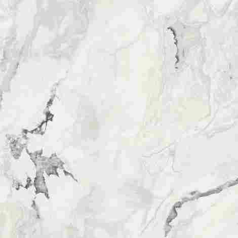 Керамогранит Forte dei Marmi Quark Oyster White matte rett 120x120 фото 2