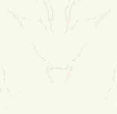 Керамогранит Calacatta Apuano Bookmatch Polished 162x324