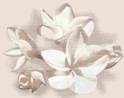 Панно Amati Plumeria Beige из 2-х плиток 40,2x50,5