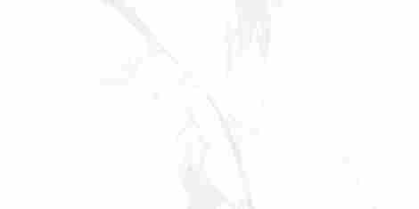 Керамогранит Bony Statuario glossy полированный 60x120