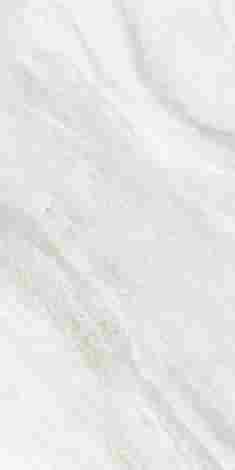 Керамогранит CR Lerix Silver carving 60x120