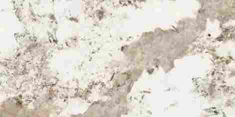 Керамогранит Forest Glossy 60x120