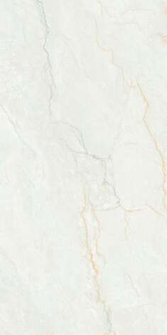 Керамогранит RC Roman 2P GV (Feather Touch) 60x120 фото 2