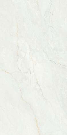 Керамогранит RC Roman 2P GV (Feather Touch) 60x120 фото 3