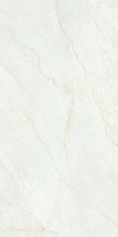 Керамогранит RC Roman 2P GV (Feather Touch) 60x120 фото 4