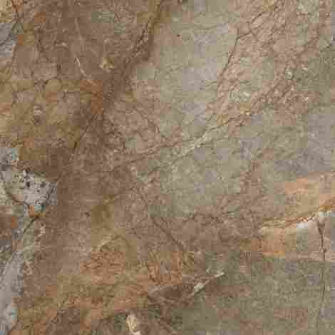 Керамогранит Champion Brown glossy 60x60 фото 3