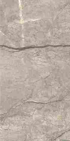 Керамогранит Anima Futura Amazing Silver Lucido 60x120 фото 2