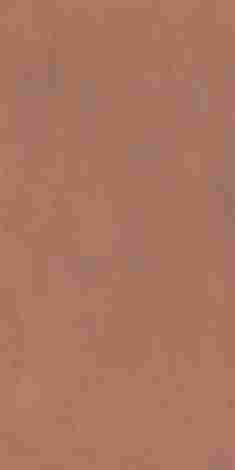 Керамогранит Join Spice Soft 60x120 фото 4