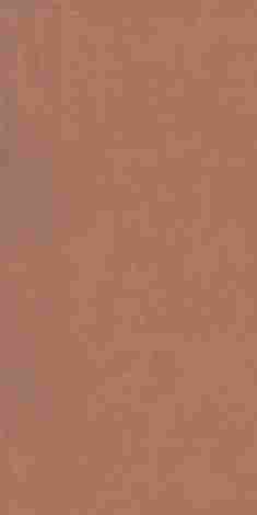 Керамогранит Join Spice Soft 60x120 фото 5