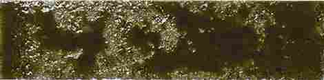 Плитка Pukka Army Green 6,4x26