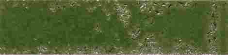 Плитка Pukka Crocodile Green 6,4x26