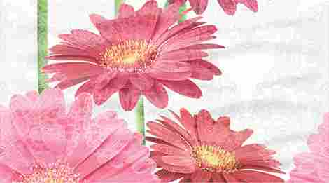 Декор Dec Gerbera Panno B 25x45
