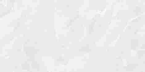 Керамогранит Regnum Bianco светло-серый матовый 59,5x119,1 фото 4