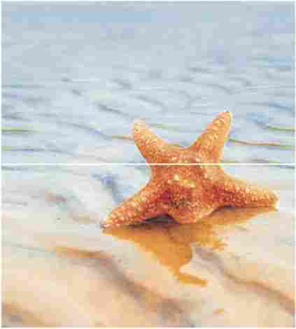 Панно Starfish 1 Panno (из 2-х шт) 45x50