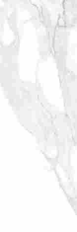 Плитка Calacatta White rett 25x75