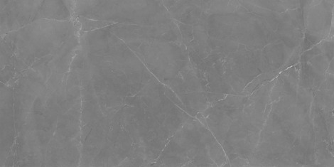 Керамогранит Electric Mist серый 60x120 фото 2