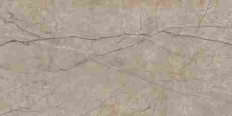 Керамогранит Silver Roots серый 60x120 фото 3