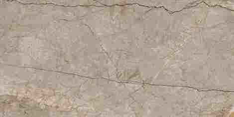 Керамогранит Silver Roots серый 60x120 фото 4