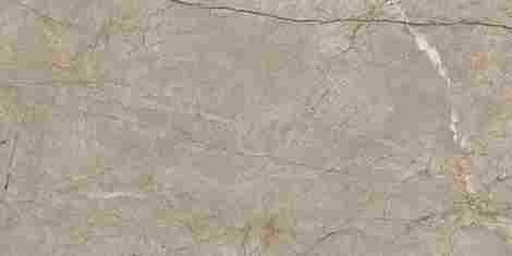 Керамогранит Silver Roots серый 60x120
