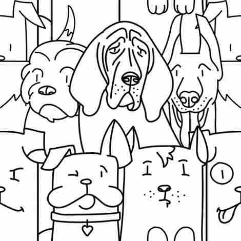 Керамогранит Oh My Dog 25x25 фото 2