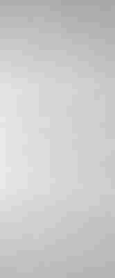 Плитка Effetto Base Grey Wall 01 25x60