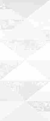 Декор Forza Matrix White 01 25x60