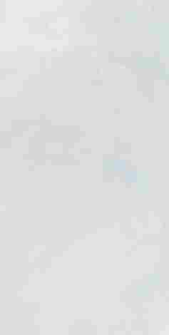 Плитка Mon Cloudy Garden 30x60