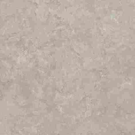 Керамогранит Shell BG 60x60
