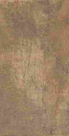 Плитка Urban Rustic W M NR Glossy 1 31x61
