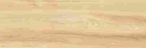Плитка Woodstyle Elm 30x90